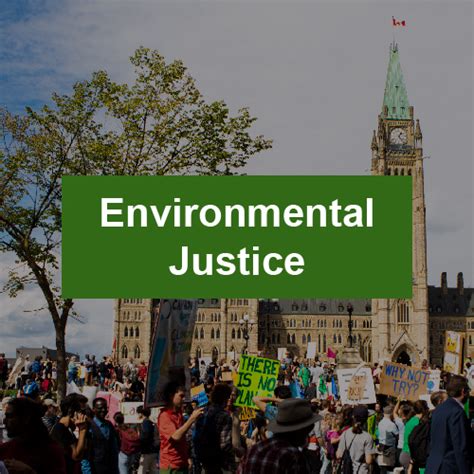 best environmental charities canada|Friends of the Earth Canada .